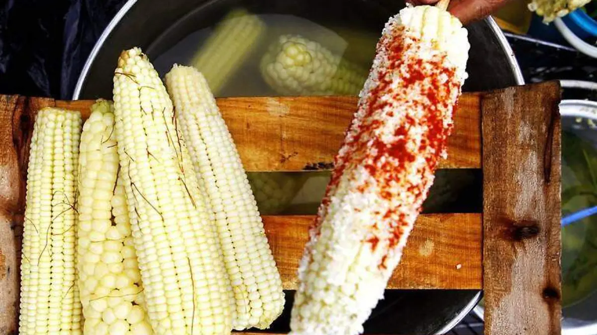 elote 1